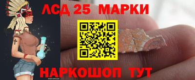 мяу мяу мука Краснознаменск