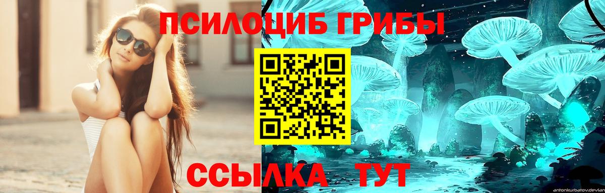 Галлюциногенные грибы прущие грибы  Псилоцибиновые грибы Magic Shrooms  Вход с VPN  Клин 